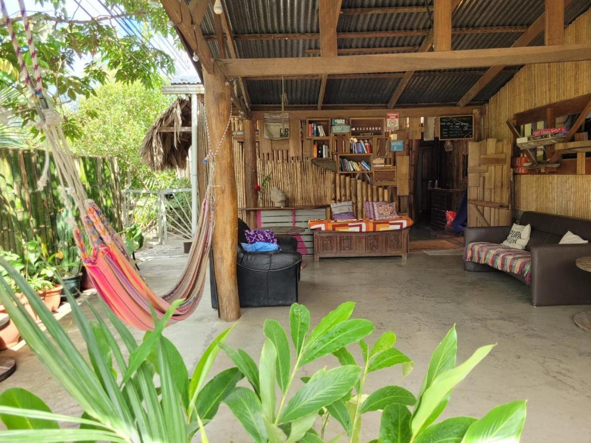 Roots Family Hostel Puerto Viejo de Talamanca Εξωτερικό φωτογραφία