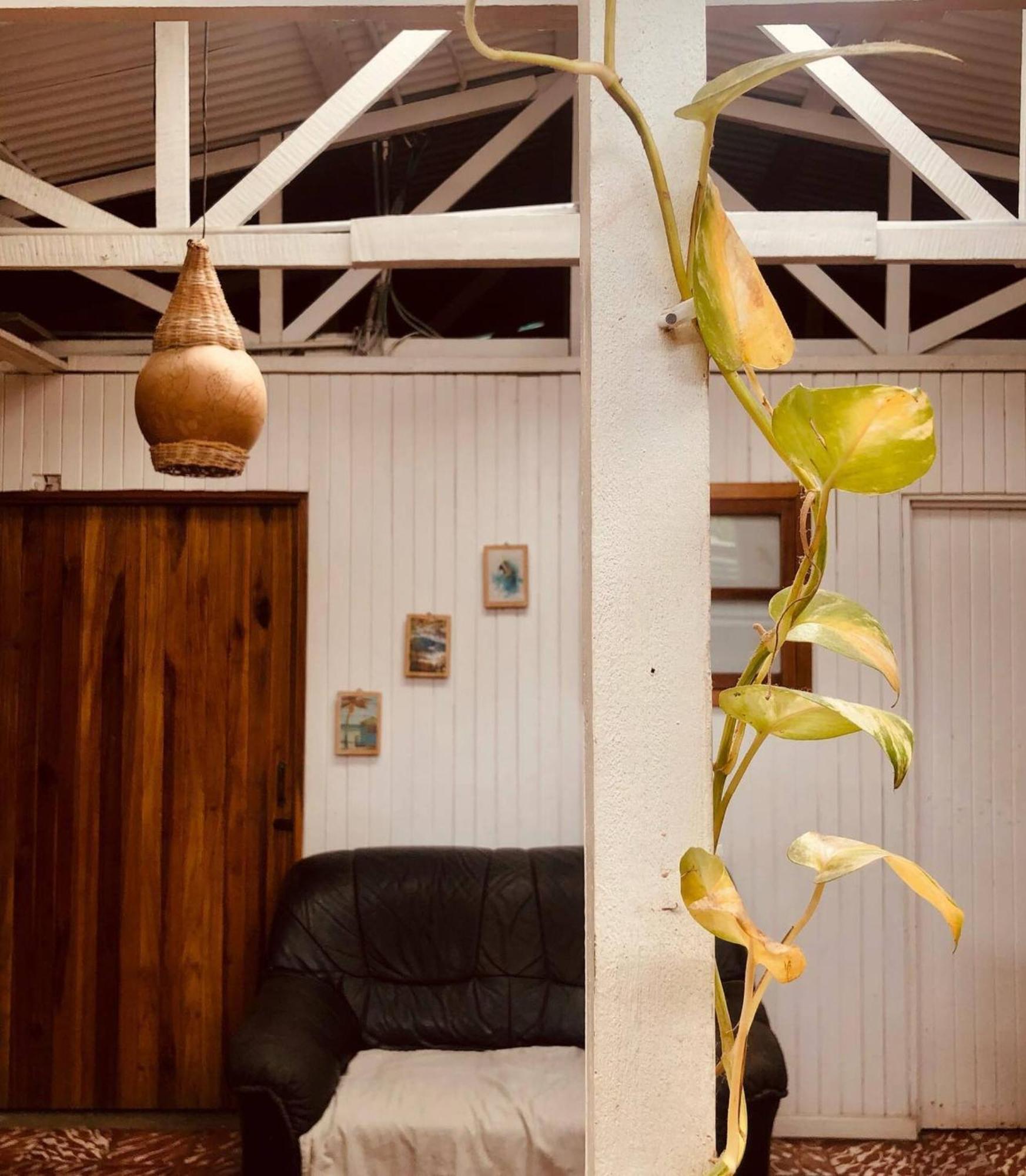 Roots Family Hostel Puerto Viejo de Talamanca Εξωτερικό φωτογραφία