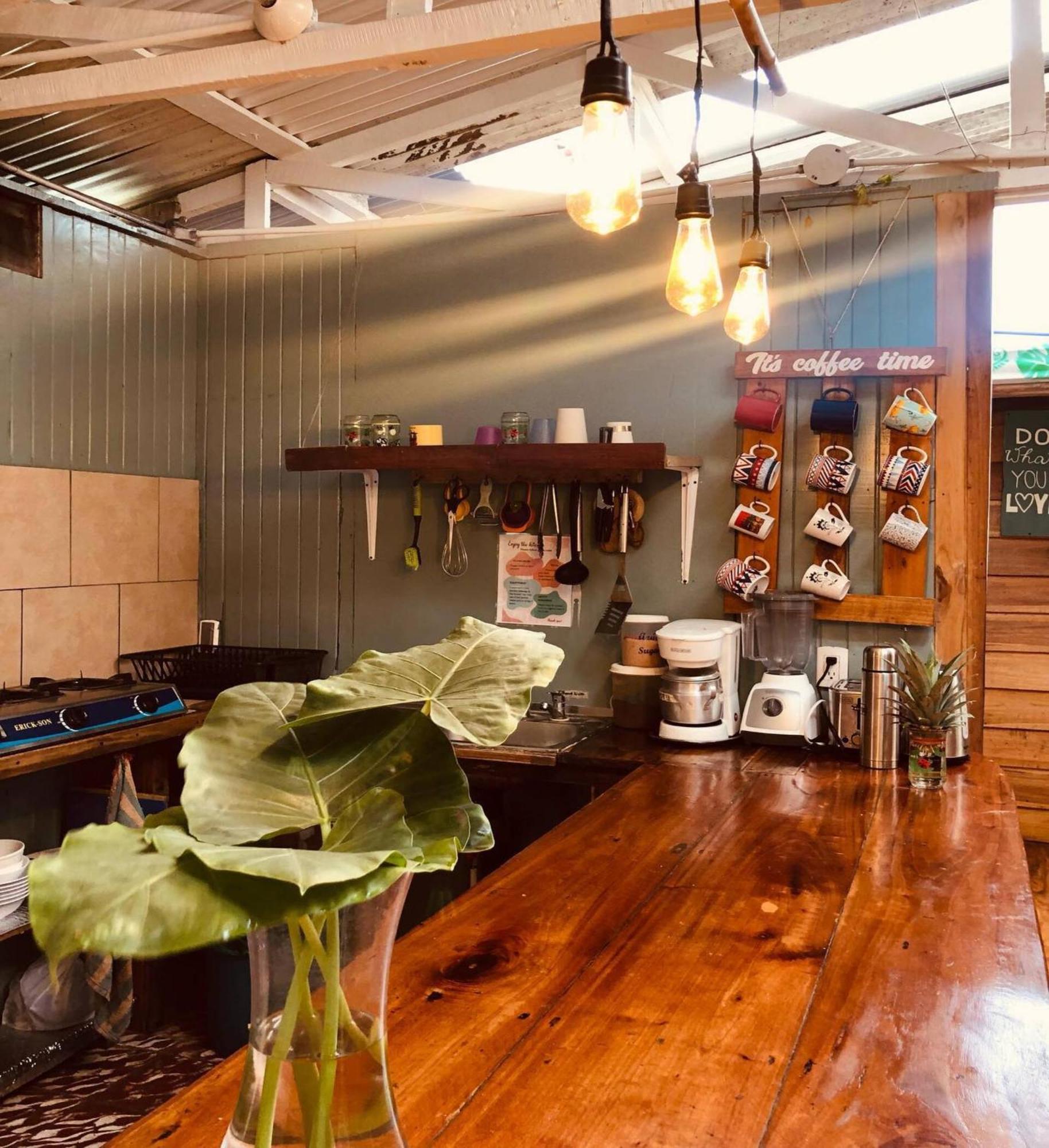 Roots Family Hostel Puerto Viejo de Talamanca Εξωτερικό φωτογραφία