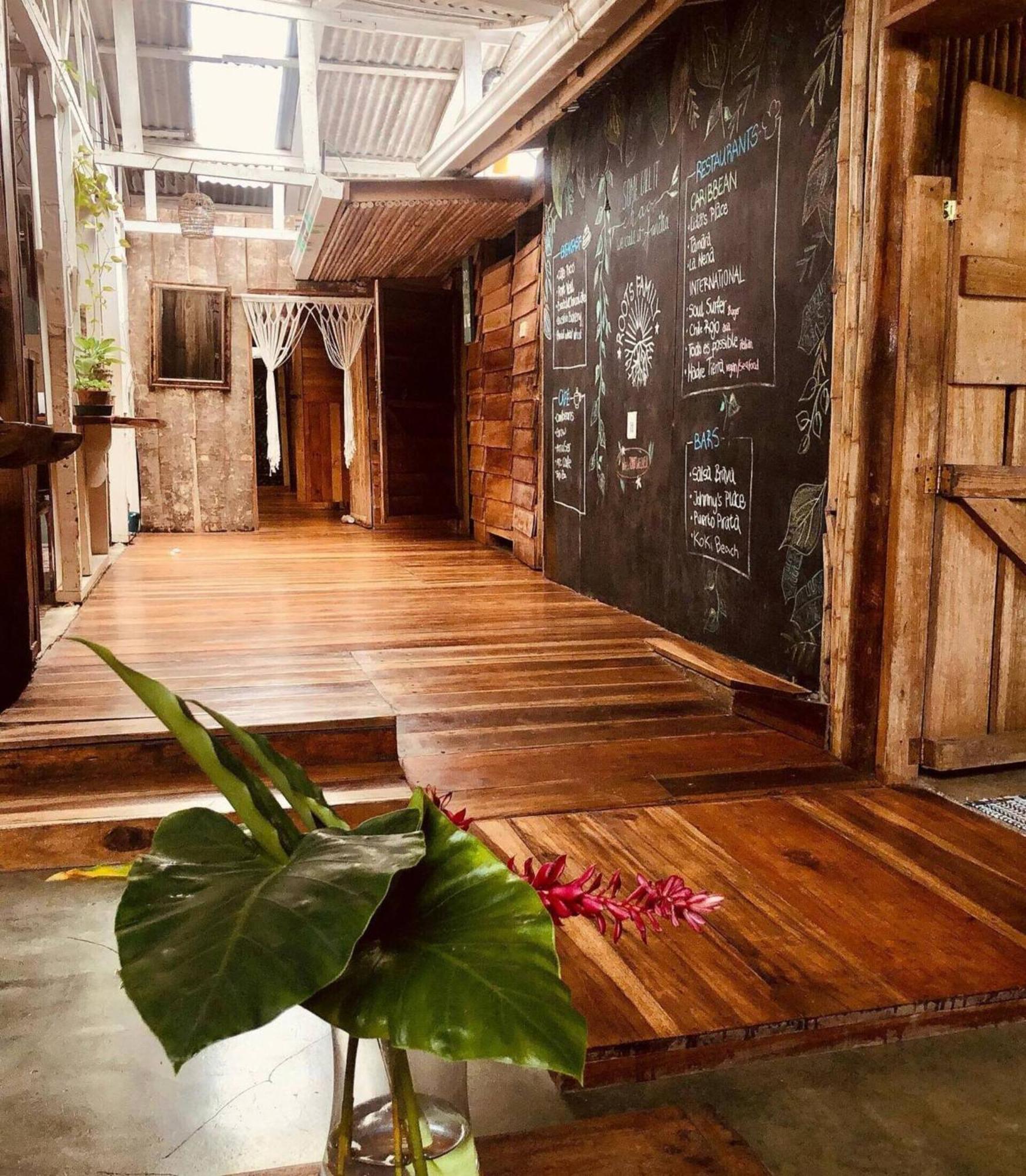 Roots Family Hostel Puerto Viejo de Talamanca Εξωτερικό φωτογραφία
