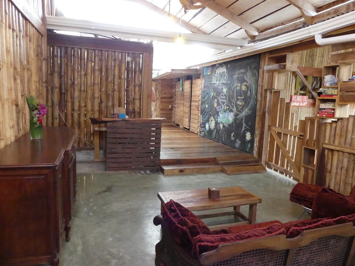 Roots Family Hostel Puerto Viejo de Talamanca Εξωτερικό φωτογραφία